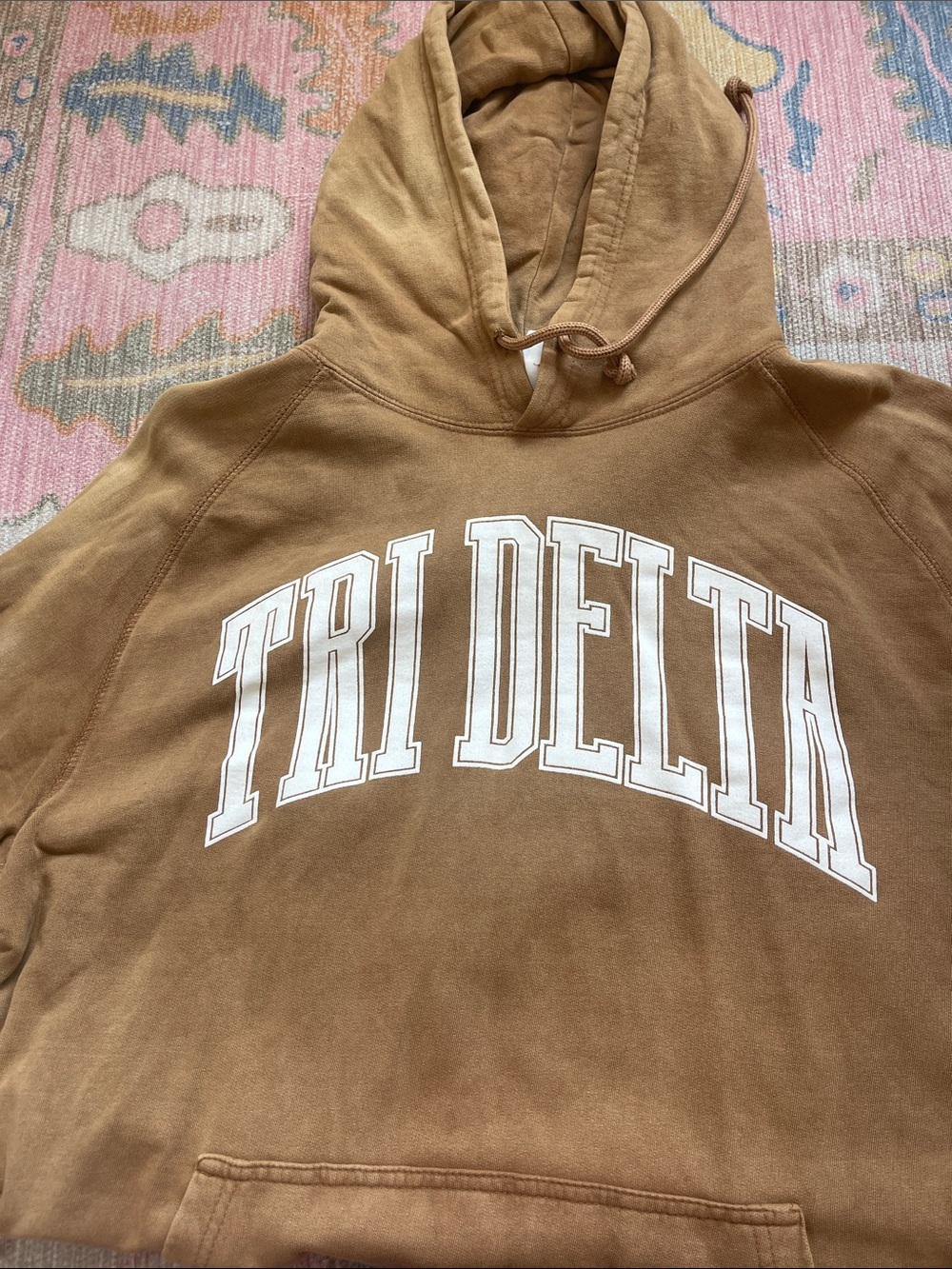 Tri Delta Brown Hooded Sweatshirt